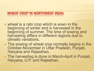 climate change and impact of Indian Agriculture | PPTX