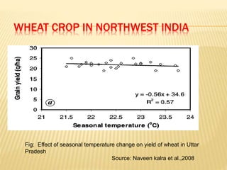 climate change and impact of Indian Agriculture | PPTX