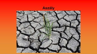 Aszály
 