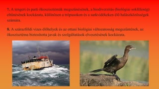 7. A tengeri és parti ökoszisztémák megszűnésének, a biodiverzitás (biológiai sokféleség)
eltűnésének kockázata, különösen a trópusokon és a sarkvidékeken élő halászközösségek
számára.
8. A szárazföldi vizes élőhelyek és az ottani biológiai változatosság megszűntének, az
ökoszisztéma biztosította javak és szolgáltatások elvesztésének kockázata.
 