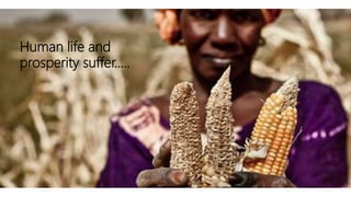 Human life and
prosperity suffer…..
 