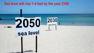 Sea level will rise 1-4 feet by the year 2100
 
