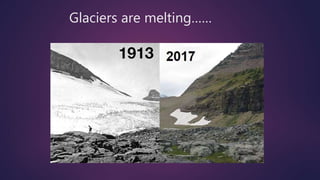 Glaciers are melting……
 