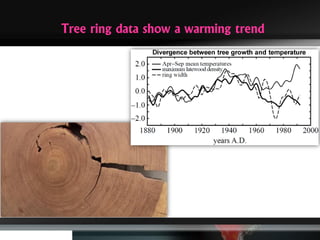 Tree ring data show a warming trend
 