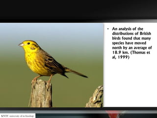 • An analysis of the
distributions of British
birds found that many
species have moved
north by an average of
18.9 km. (Thomas et
al, 1999)
KNTU university of technology
 