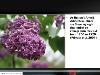 • At Boston's Arnold
Arboretum, plants
are flowering eight
days earlier on
average than they did
from 1900 to 1920.
(Primack et al,2004)
KNTU university of technology
 