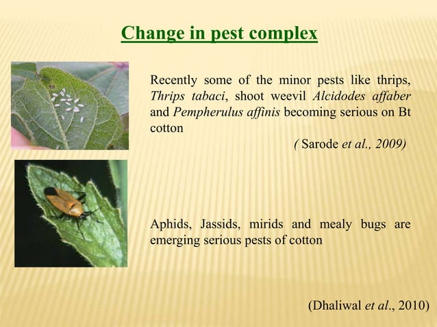 Effect of Climatic Change on Harmful insect pests and Beneficial ...