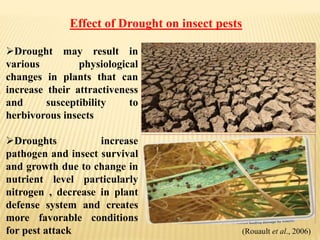Drought Insect Effect of Climatic Change on Harmful insect pests and Beneficial ...