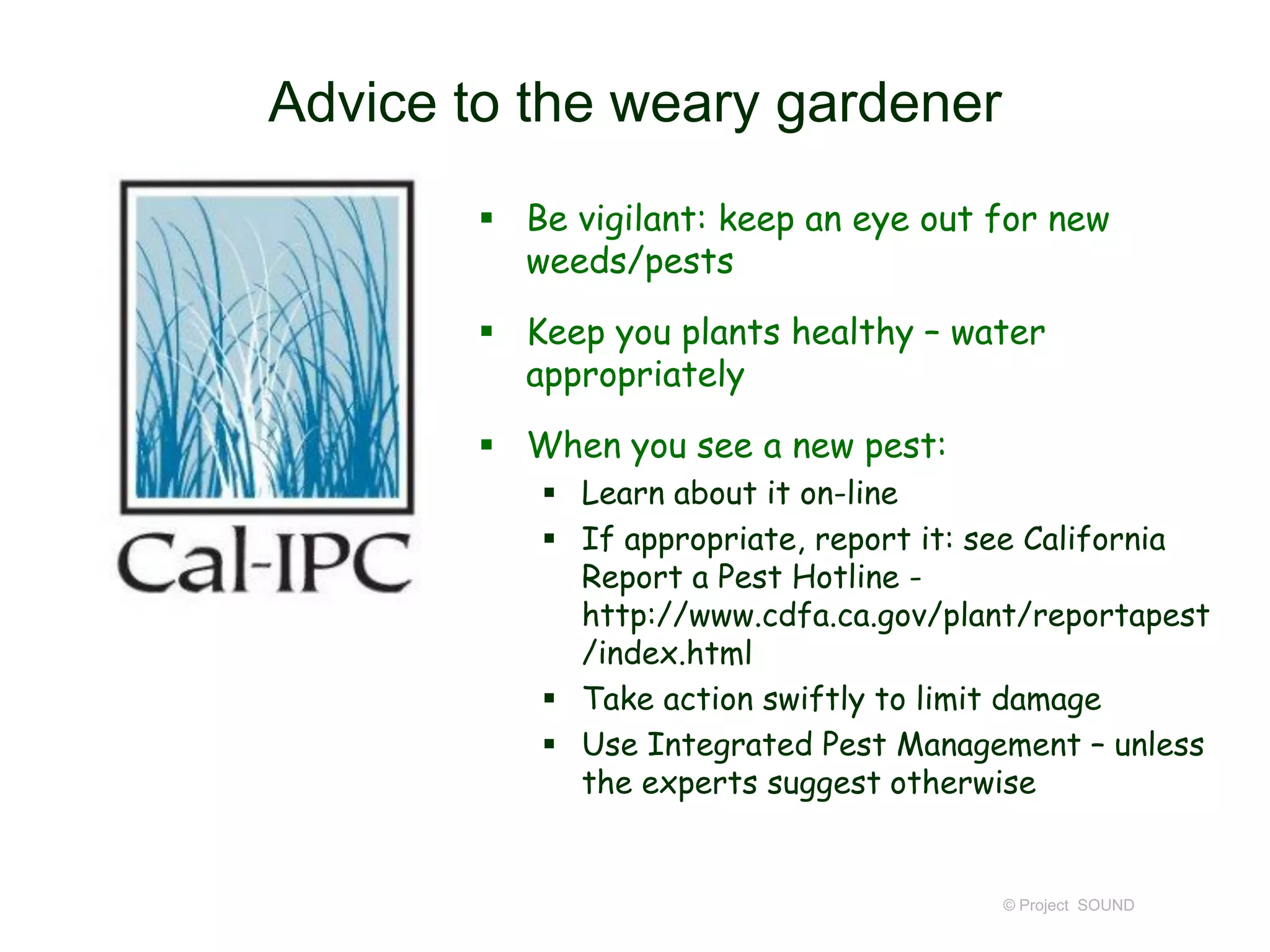 Advice to the weary gardener
 Be vigilant: keep an eye out for new
weeds/pests
 Keep you plants healthy – water
appropriately
 When you see a new pest:
 Learn about it on-line
 If appropriate, report it: see California
Report a Pest Hotline http://www.cdfa.ca.gov/plant/reportapest
/index.html
 Take action swiftly to limit damage
 Use Integrated Pest Management – unless
the experts suggest otherwise

© Project SOUND

 