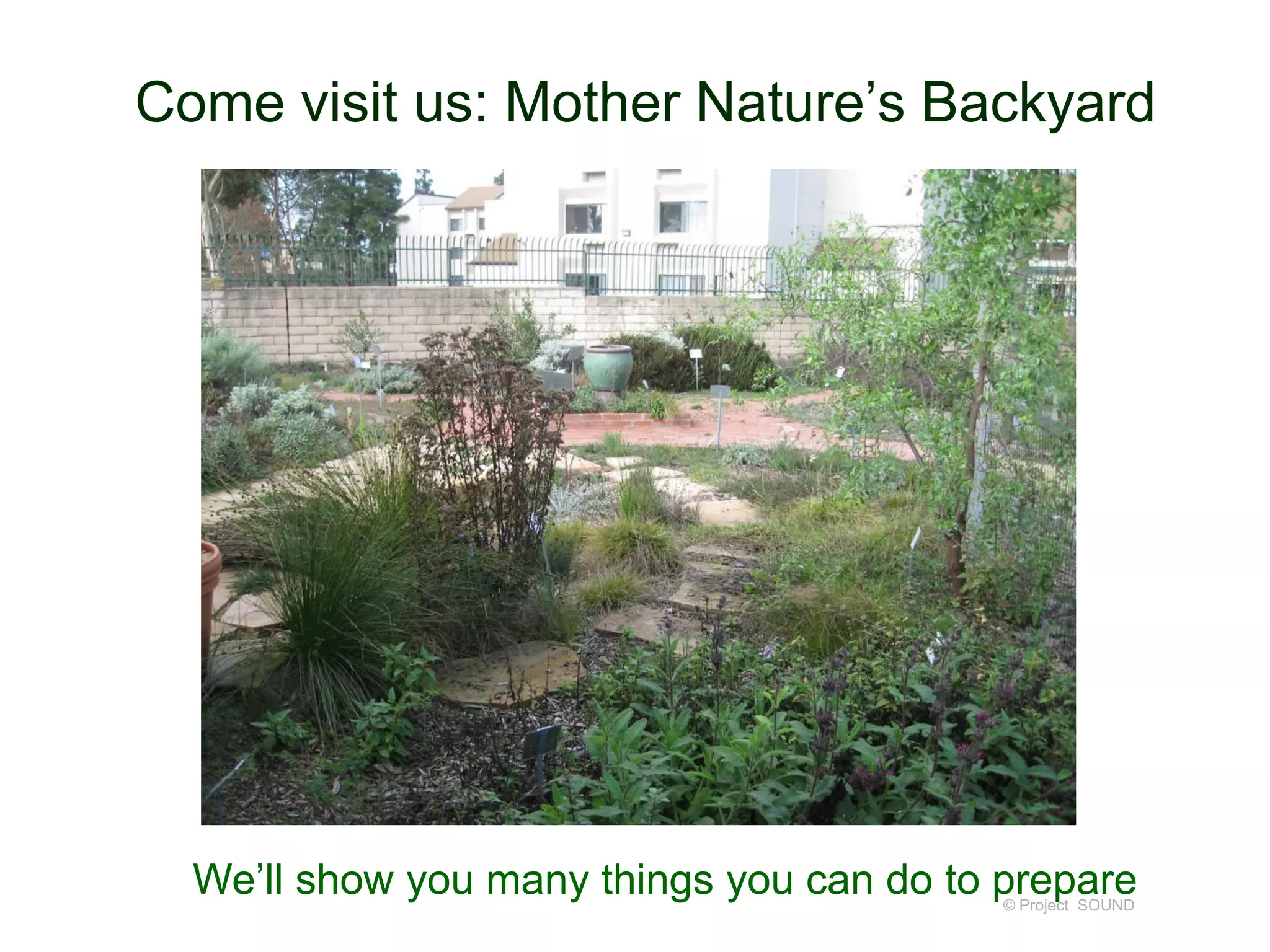 Come visit us: Mother Nature’s Backyard

We’ll show you many things you can do to prepare
© Project SOUND

 