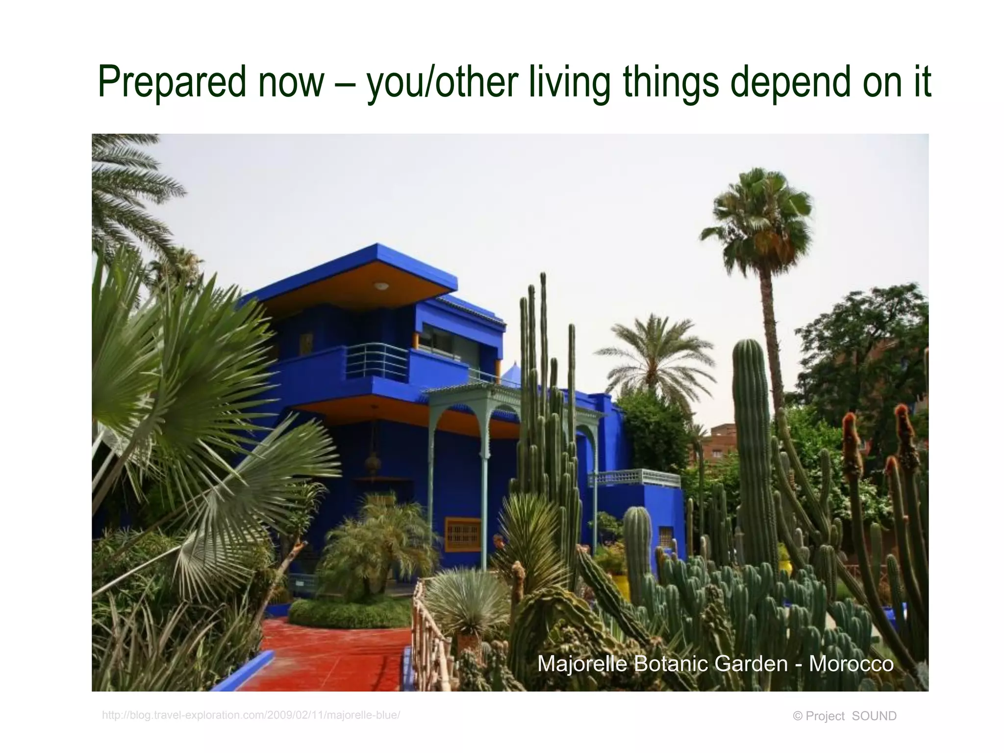 Prepared now – you/other living things depend on it

Majorelle Botanic Garden - Morocco
http://blog.travel-exploration.com/2009/02/11/majorelle-blue/

© Project SOUND

 
