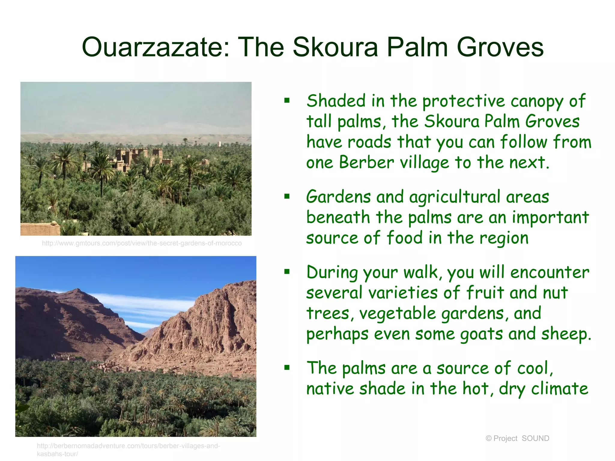 Ouarzazate: The Skoura Palm Groves
 Shaded in the protective canopy of
tall palms, the Skoura Palm Groves
have roads that you can follow from
one Berber village to the next.

http://www.gmtours.com/post/view/the-secret-gardens-of-morocco

 Gardens and agricultural areas
beneath the palms are an important
source of food in the region
 During your walk, you will encounter
several varieties of fruit and nut
trees, vegetable gardens, and
perhaps even some goats and sheep.
 The palms are a source of cool,
native shade in the hot, dry climate
© Project SOUND

http://berbernomadadventure.com/tours/berber-villages-andkasbahs-tour/

 