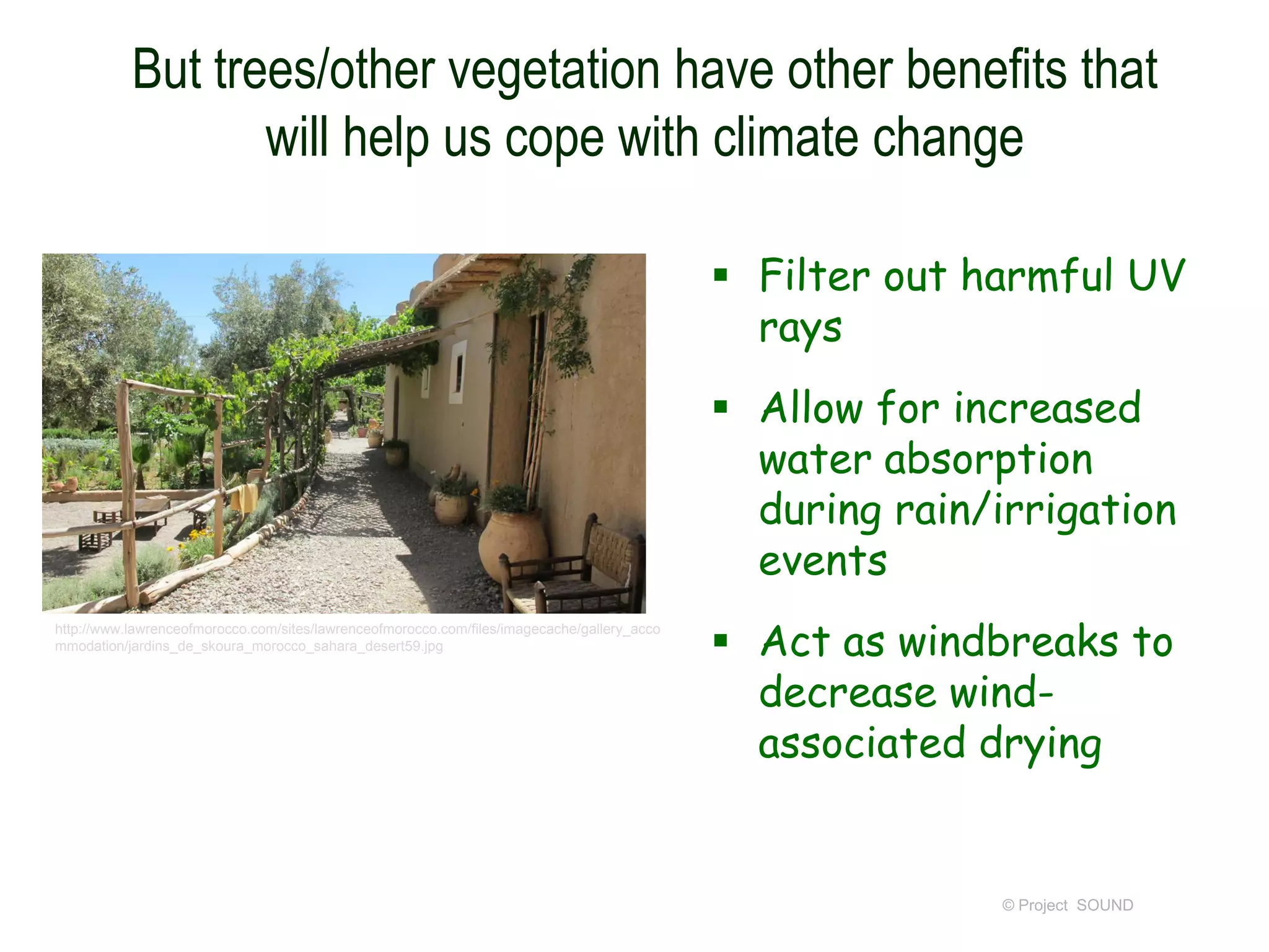 But trees/other vegetation have other benefits that
will help us cope with climate change
 Filter out harmful UV
rays
 Allow for increased
water absorption
during rain/irrigation
events
http://www.lawrenceofmorocco.com/sites/lawrenceofmorocco.com/files/imagecache/gallery_acco
mmodation/jardins_de_skoura_morocco_sahara_desert59.jpg

 Act as windbreaks to
decrease windassociated drying

© Project SOUND

 