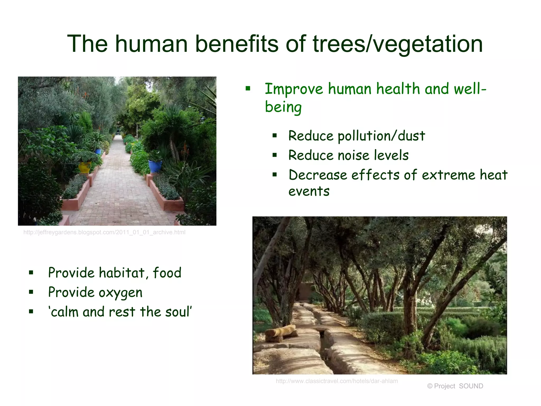 The human benefits of trees/vegetation
 Improve human health and wellbeing
 Reduce pollution/dust
 Reduce noise levels
 Decrease effects of extreme heat
events
http://jeffreygardens.blogspot.com/2011_01_01_archive.html





Provide habitat, food
Provide oxygen
‘calm and rest the soul’

http://www.classictravel.com/hotels/dar-ahlam

© Project SOUND

 