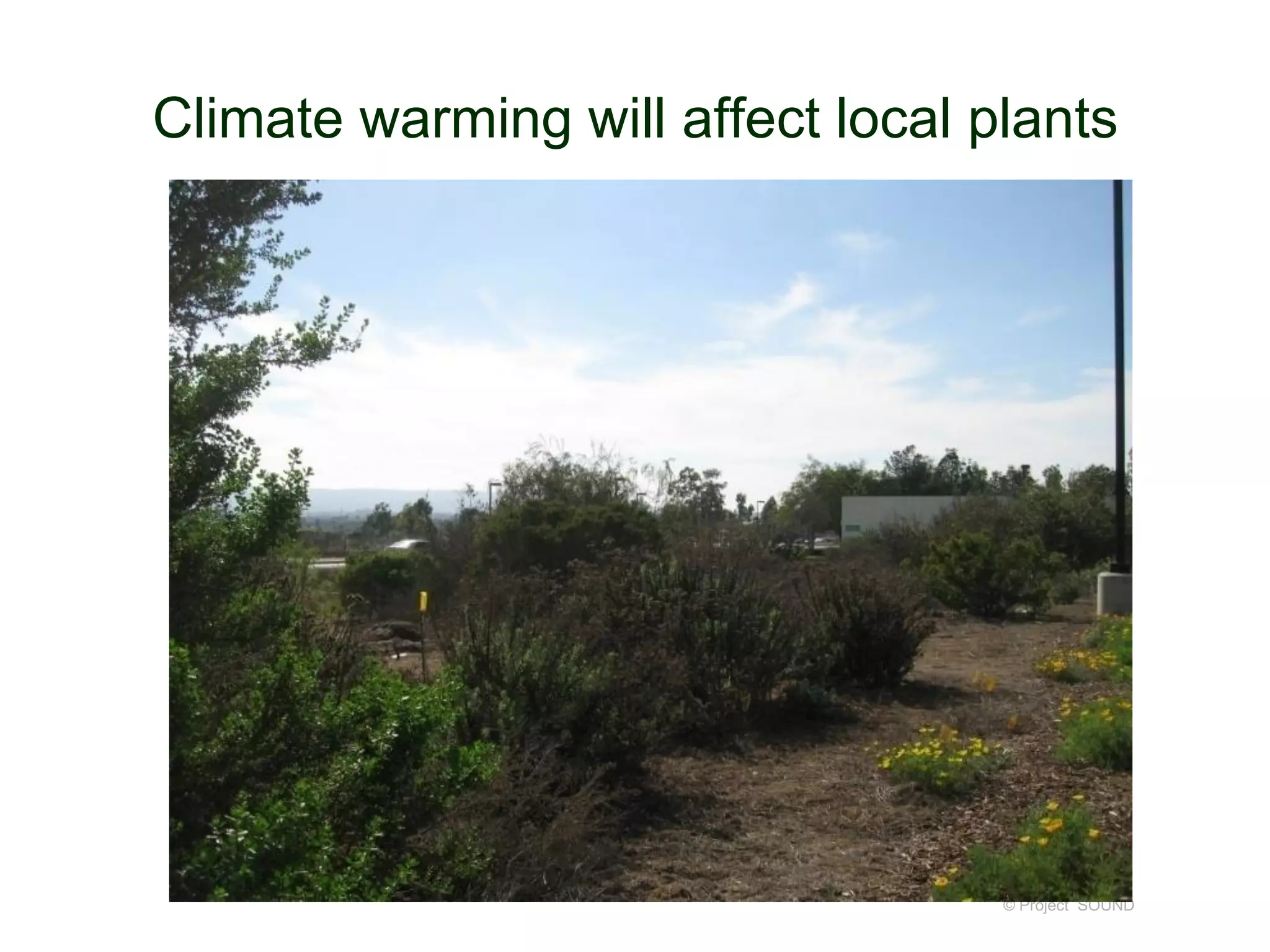 Climate warming will affect local plants

© Project SOUND

 