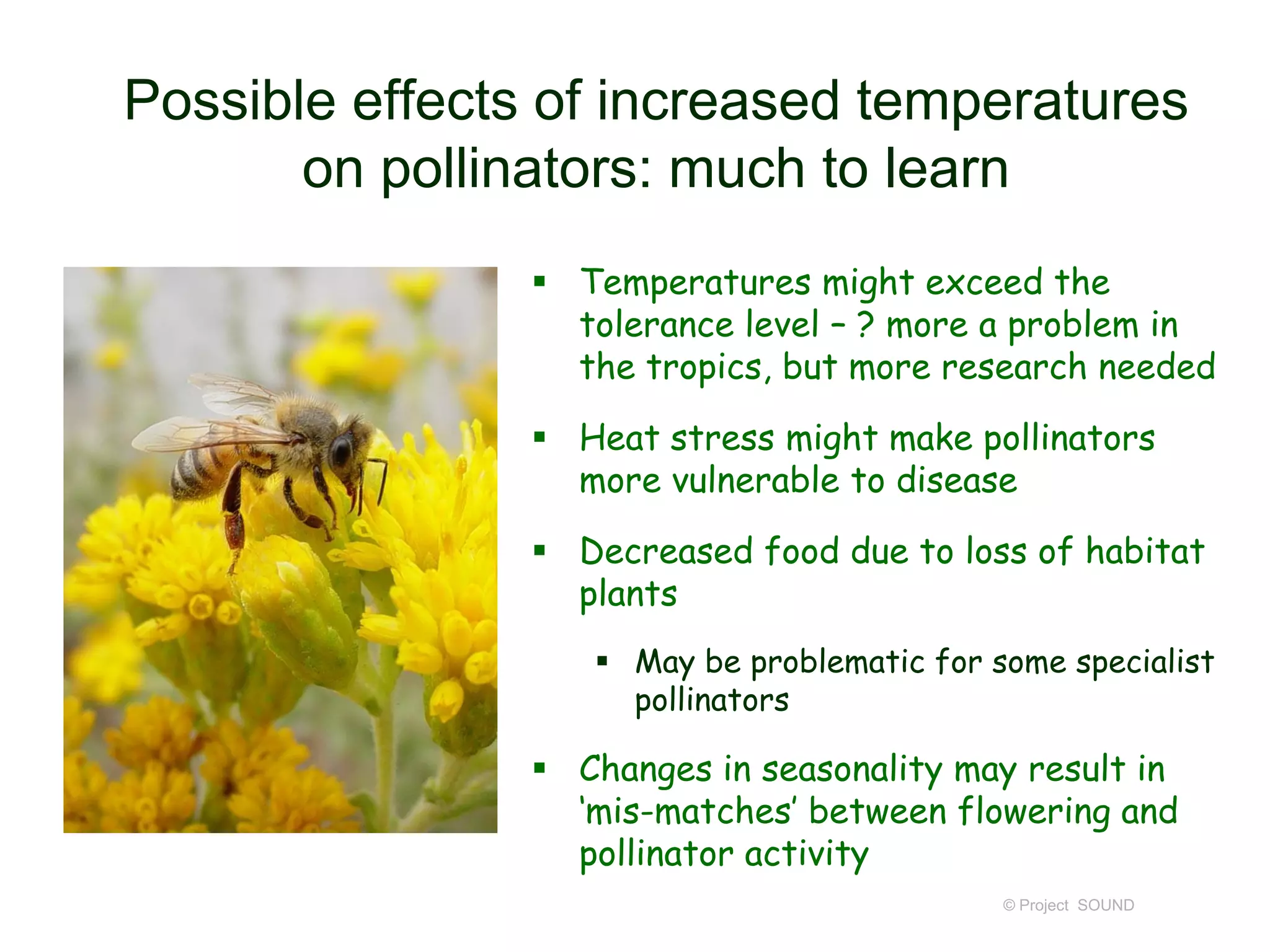 Possible effects of increased temperatures
on pollinators: much to learn
 Temperatures might exceed the
tolerance level – ? more a problem in
the tropics, but more research needed
 Heat stress might make pollinators
more vulnerable to disease
 Decreased food due to loss of habitat
plants
 May be problematic for some specialist
pollinators

 Changes in seasonality may result in
‘mis-matches’ between flowering and
pollinator activity
© Project SOUND

 
