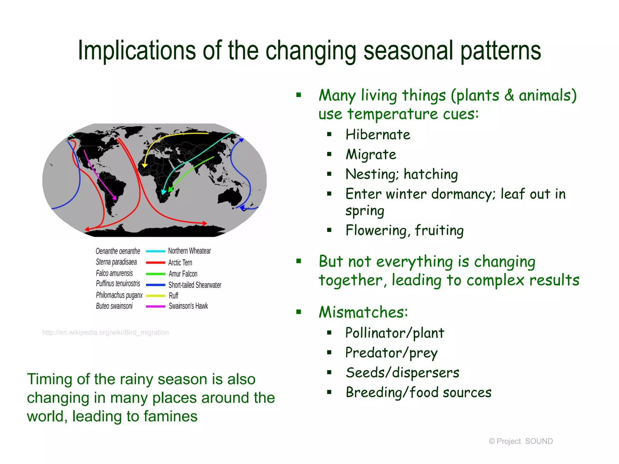 Implications of the changing seasonal patterns


Many living things (plants & animals)
use temperature cues:
Hibernate
Migrate
Nesting; hatching
Enter winter dormancy; leaf out in
spring
 Flowering, fruiting







http://en.wikipedia.org/wiki/Bird_migration

Timing of the rainy season is also
changing in many places around the
world, leading to famines

But not everything is changing
together, leading to complex results
Mismatches:





Pollinator/plant
Predator/prey
Seeds/dispersers
Breeding/food sources

© Project SOUND

 