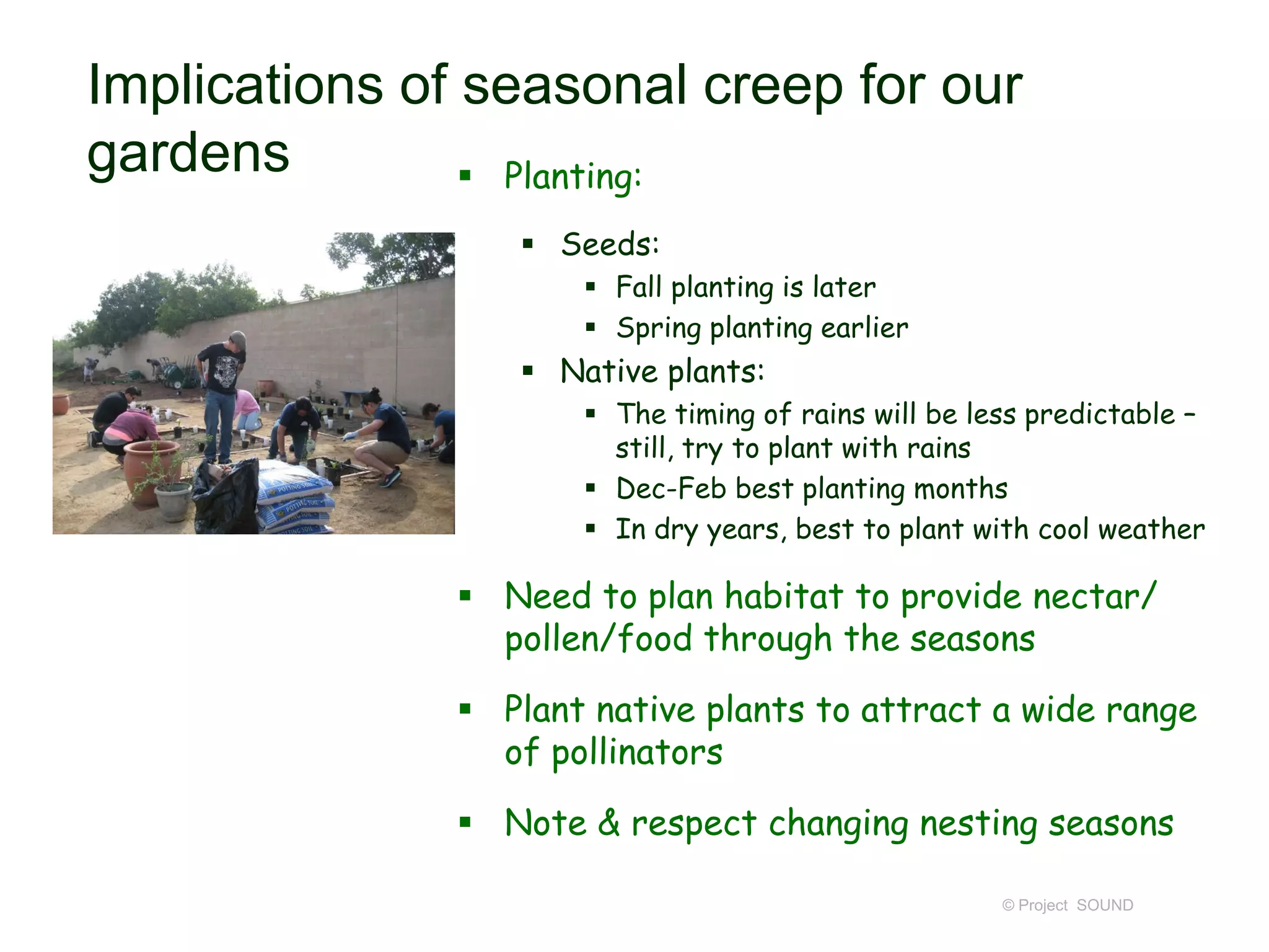 Implications of seasonal creep for our
gardens
 Planting:
 Seeds:
 Fall planting is later
 Spring planting earlier

 Native plants:
 The timing of rains will be less predictable –
still, try to plant with rains
 Dec-Feb best planting months
 In dry years, best to plant with cool weather

 Need to plan habitat to provide nectar/
pollen/food through the seasons

 Plant native plants to attract a wide range
of pollinators
 Note & respect changing nesting seasons
© Project SOUND

 