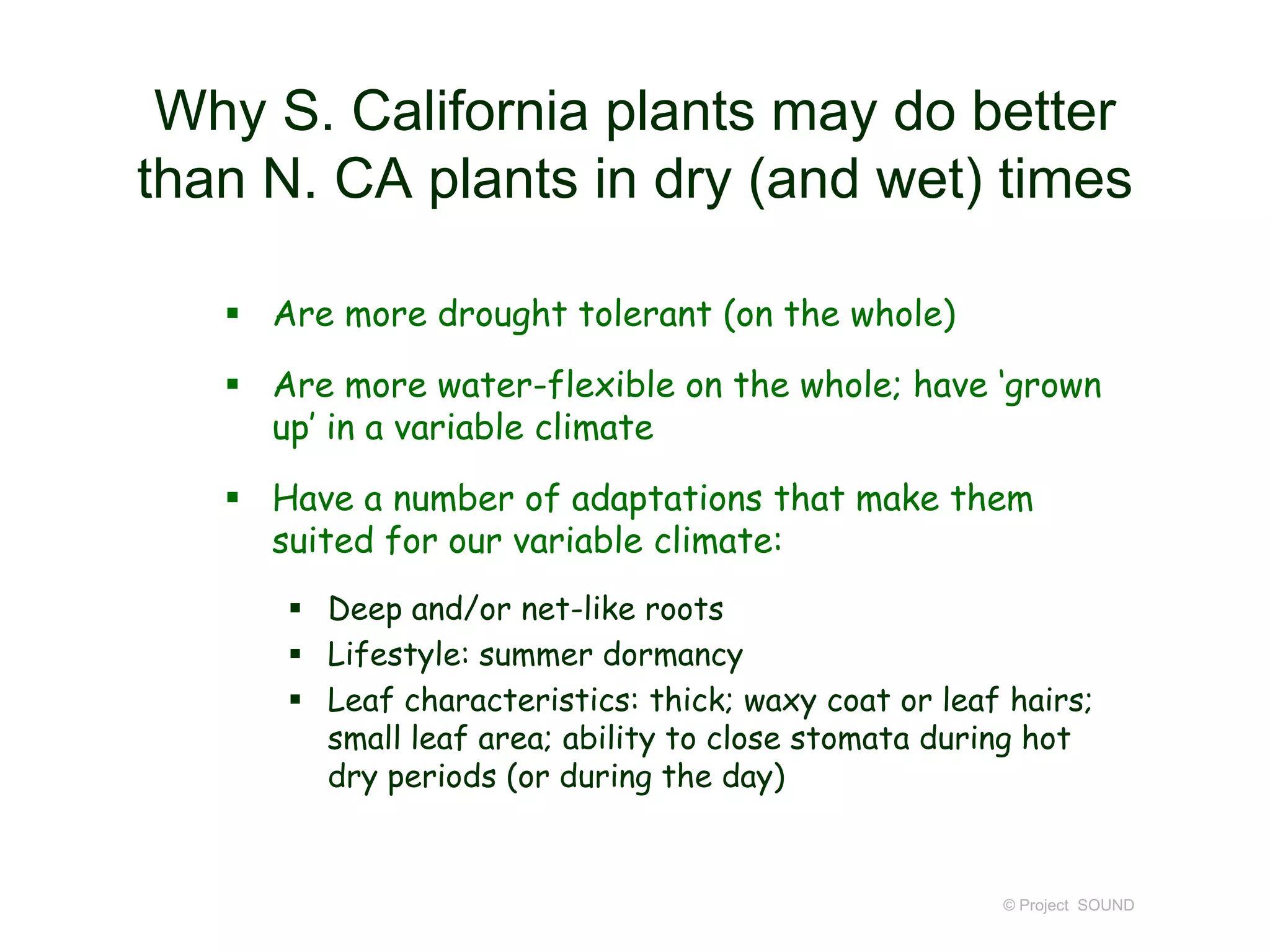 Why S. California plants may do better
than N. CA plants in dry (and wet) times
 Are more drought tolerant (on the whole)
 Are more water-flexible on the whole; have ‘grown
up’ in a variable climate
 Have a number of adaptations that make them
suited for our variable climate:
 Deep and/or net-like roots
 Lifestyle: summer dormancy
 Leaf characteristics: thick; waxy coat or leaf hairs;
small leaf area; ability to close stomata during hot
dry periods (or during the day)

© Project SOUND

 