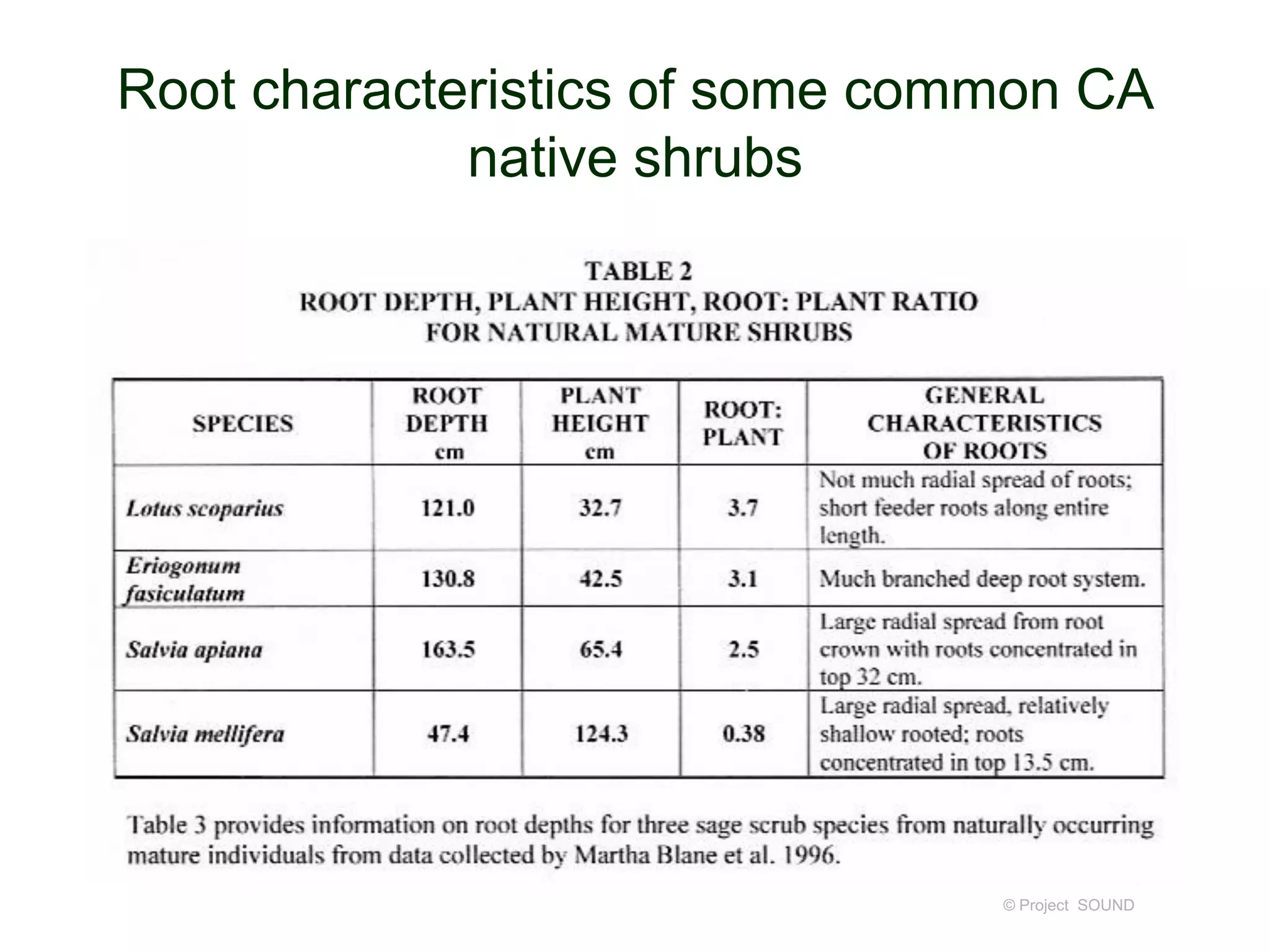 Root characteristics of some common CA
native shrubs

© Project SOUND

 