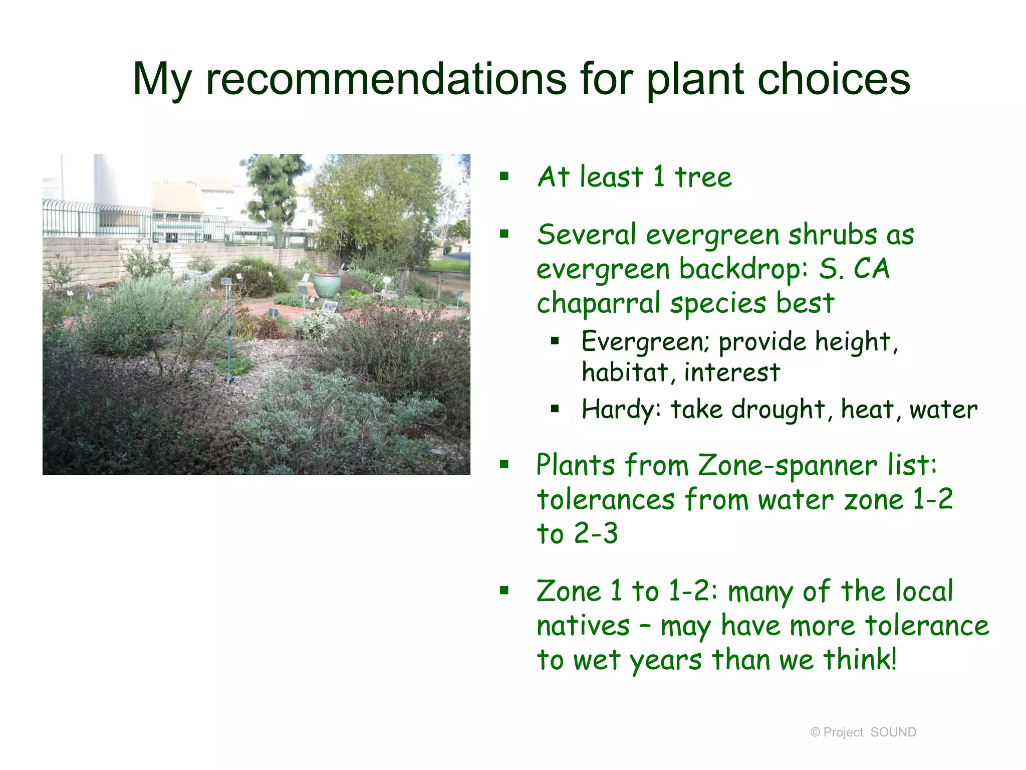 My recommendations for plant choices
 At least 1 tree
 Several evergreen shrubs as
evergreen backdrop: S. CA
chaparral species best
 Evergreen; provide height,
habitat, interest
 Hardy: take drought, heat, water

 Plants from Zone-spanner list:
tolerances from water zone 1-2
to 2-3
 Zone 1 to 1-2: many of the local
natives – may have more tolerance
to wet years than we think!
© Project SOUND

 