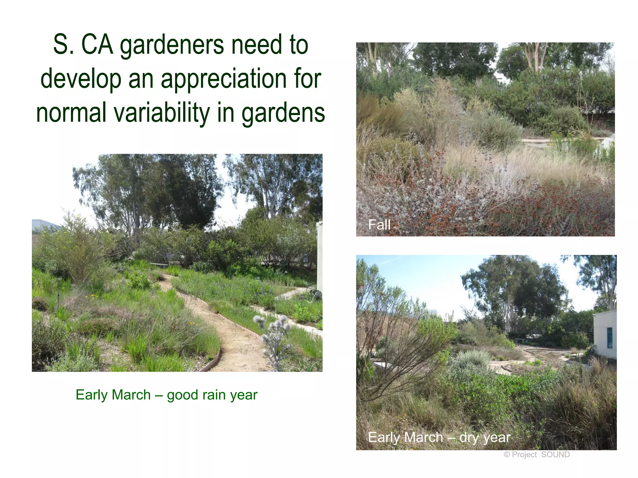 S. CA gardeners need to
develop an appreciation for
normal variability in gardens

Fall

Early March – good rain year
Early March – dry year
© Project SOUND

 