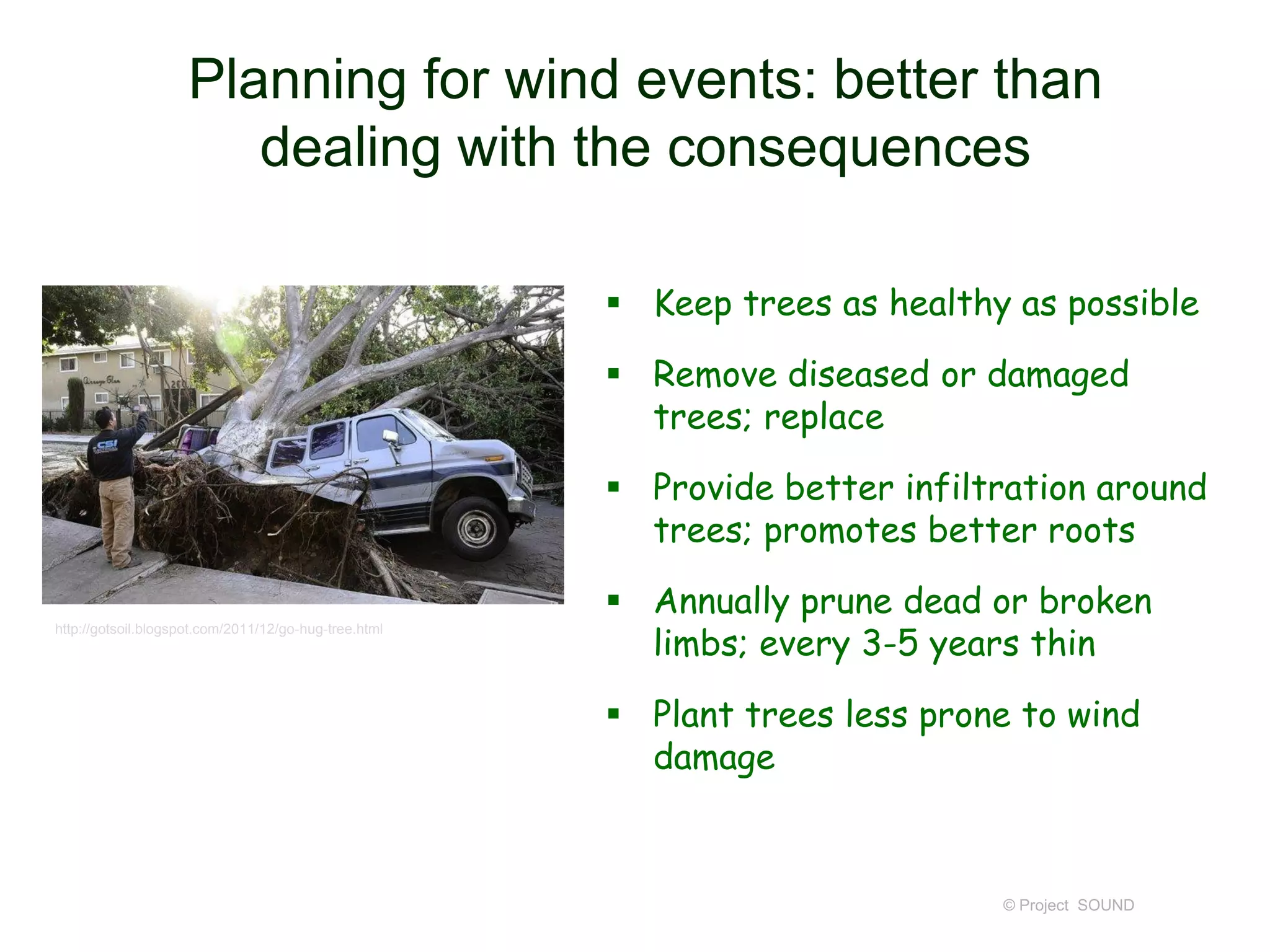 Planning for wind events: better than
dealing with the consequences
 Keep trees as healthy as possible
 Remove diseased or damaged
trees; replace
 Provide better infiltration around
trees; promotes better roots
http://gotsoil.blogspot.com/2011/12/go-hug-tree.html

 Annually prune dead or broken
limbs; every 3-5 years thin
 Plant trees less prone to wind
damage

© Project SOUND

 