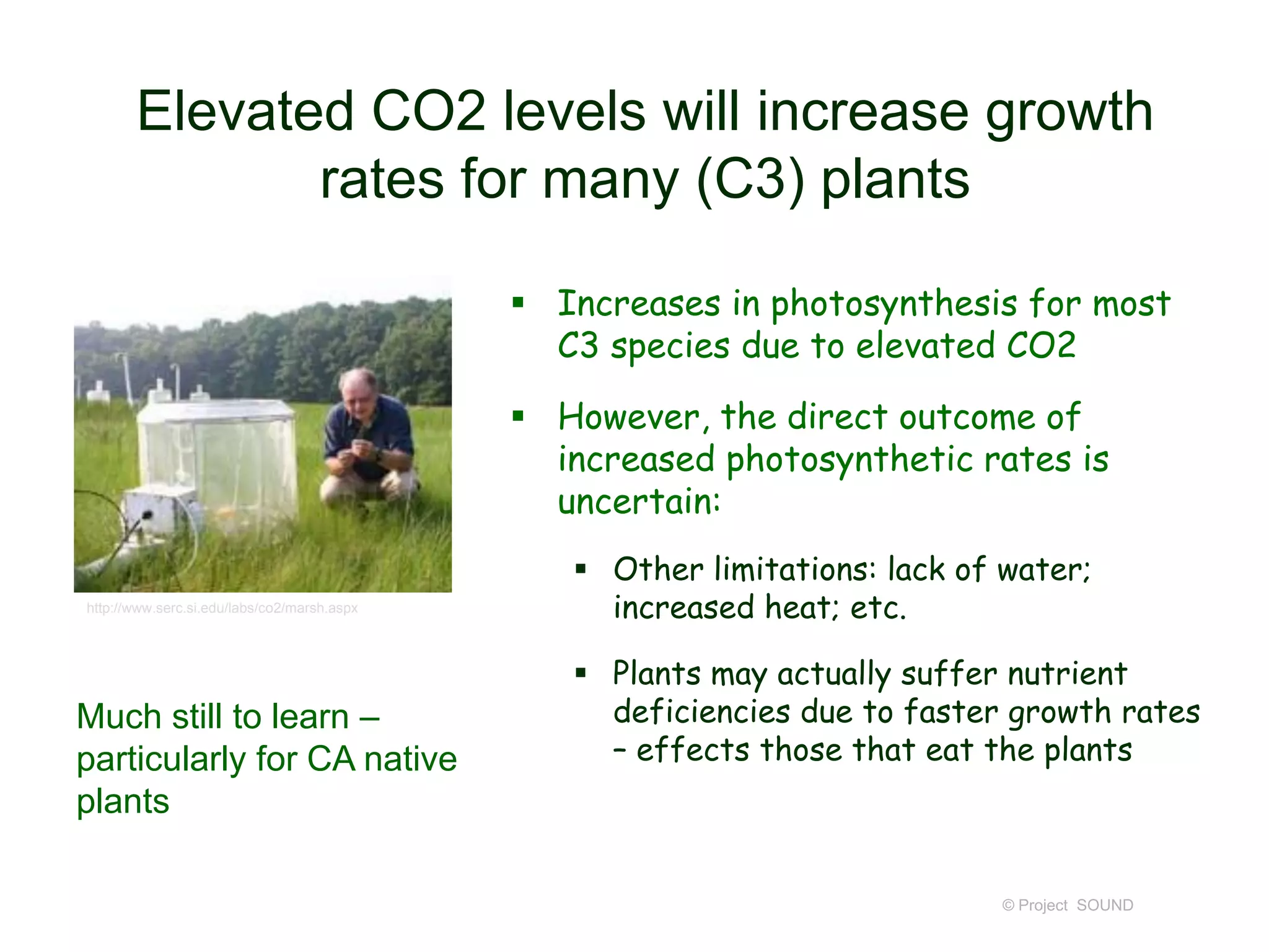 Elevated CO2 levels will increase growth
rates for many (C3) plants
 Increases in photosynthesis for most
C3 species due to elevated CO2

 However, the direct outcome of
increased photosynthetic rates is
uncertain:
http://www.serc.si.edu/labs/co2/marsh.aspx

Much still to learn –
particularly for CA native
plants

 Other limitations: lack of water;
increased heat; etc.
 Plants may actually suffer nutrient
deficiencies due to faster growth rates
– effects those that eat the plants

© Project SOUND

 