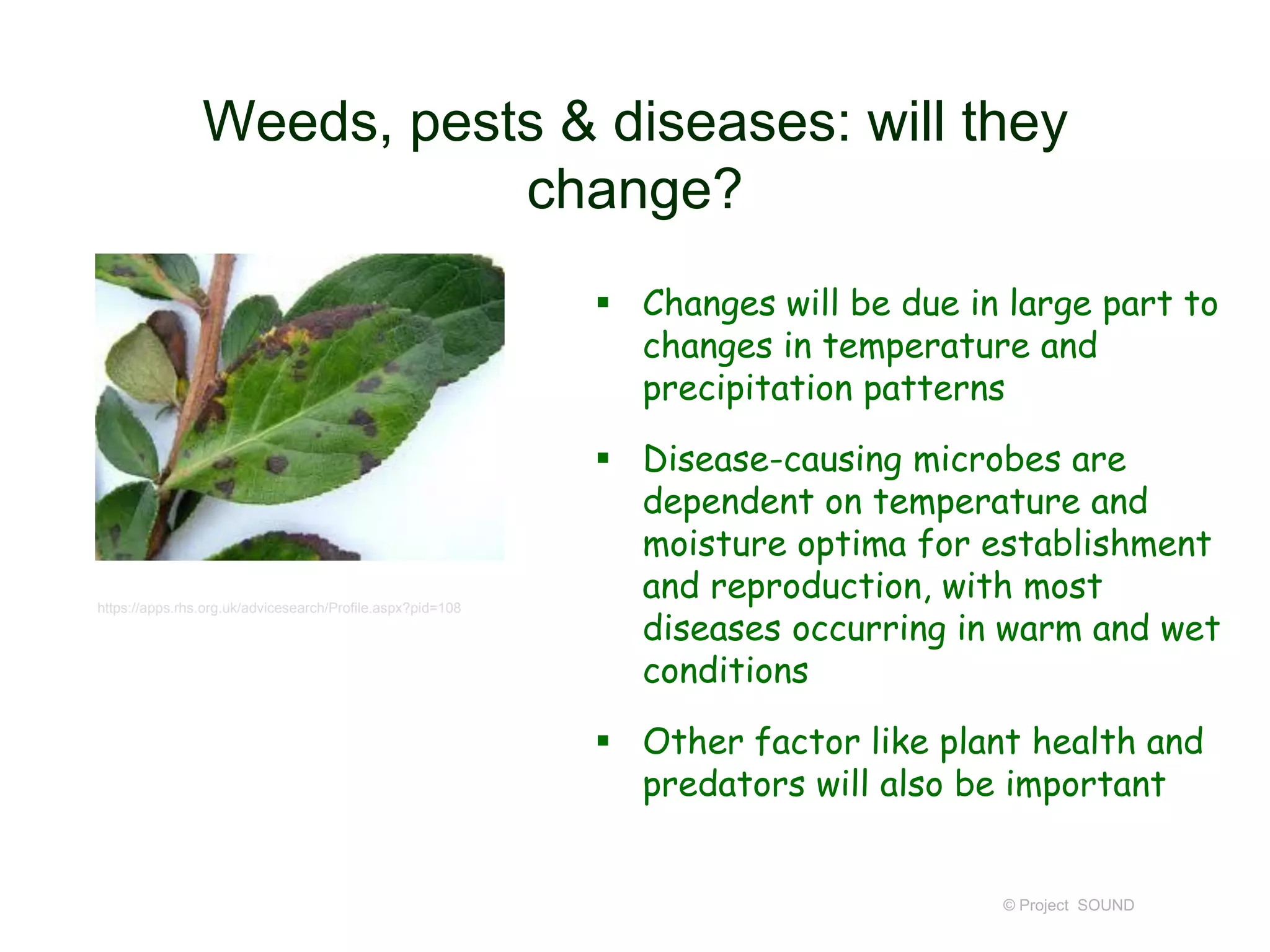 Weeds, pests & diseases: will they
change?
 Changes will be due in large part to
changes in temperature and
precipitation patterns

https://apps.rhs.org.uk/advicesearch/Profile.aspx?pid=108

 Disease-causing microbes are
dependent on temperature and
moisture optima for establishment
and reproduction, with most
diseases occurring in warm and wet
conditions
 Other factor like plant health and
predators will also be important

© Project SOUND

 
