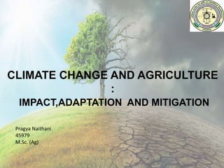 CLIMATE CHANGE AND AGRICULTURE
:
IMPACT,ADAPTATION AND MITIGATION
Pragya Naithani
45979
M.Sc. (Ag)
 