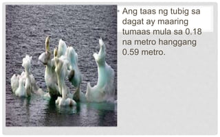 • Ang taas ng tubig sa
dagat ay maaring
tumaas mula sa 0.18
na metro hanggang
0.59 metro.
 