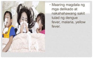 • Maaring magdala ng
mga delikado at
nakahahawang sakit
tulad ng dengue
fever, malaria, yellow
fever.
 