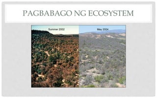 PAGBABAGO NG ECOSYSTEM
 