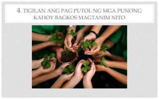 4. TIGILAN ANG PAG PUTOL NG MGA PUNONG
KAHOY BAGKOS MAGTANIM NITO
 