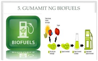 5. GUMAMIT NG BIOFUELS
 