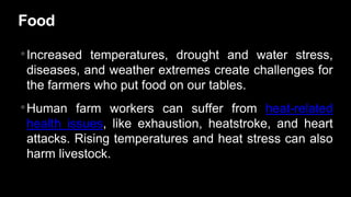 Food
•Increased temperatures, drought and water stress,
diseases, and weather extremes create challenges for
the farmers who put food on our tables.
•Human farm workers can suffer from heat-related
health issues, like exhaustion, heatstroke, and heart
attacks. Rising temperatures and heat stress can also
harm livestock.
 