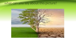 what can you say about this picture?
 