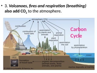 Climate change and its impact on earth.pptx