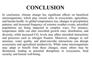climate change and microbial diversity .pptx