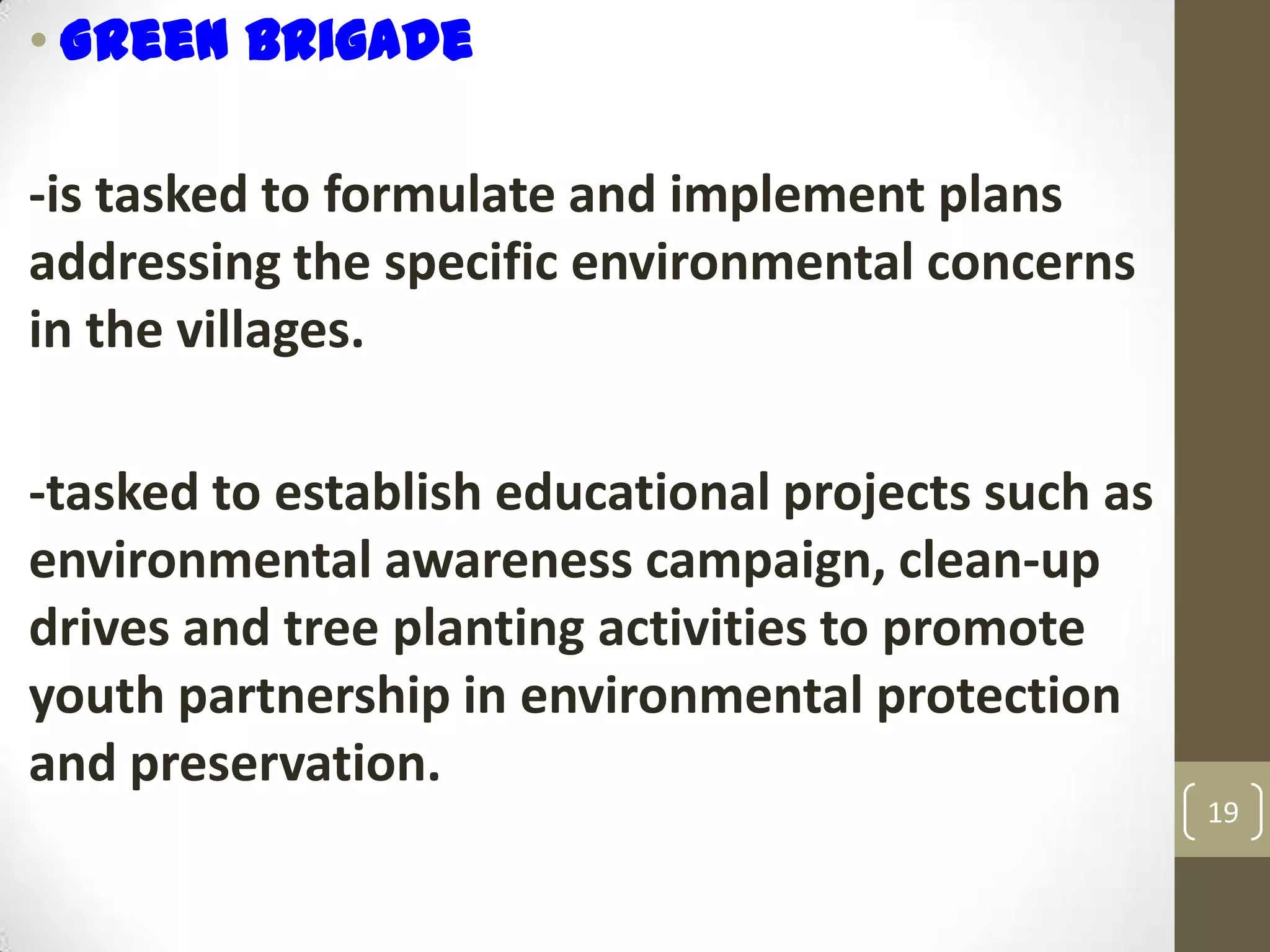 • Green Brigade
-is tasked to formulate and implement plans
addressing the specific environmental concerns
in the villages.
-tasked to establish educational projects such as
environmental awareness campaign, clean-up
drives and tree planting activities to promote
youth partnership in environmental protection
and preservation.
19
 
