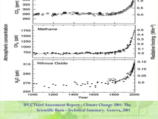 IPCCThird Assessment Report - Climate Change 2001: The
Scientific Basis –Technical Summary. Geneva, 2001.
 