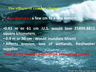 1. Sea-level rise : a few cm to a few meters
•0.61 m or 61 cm :U.S. would lose 25899.8811
square kilometers.
• 0.9 m or 90 cm : Would inundate Miami
• Affects erosion, loss of wetlands, freshwater
supplies
•Half of the world’s population lives along coasts
The effects of climate change
 