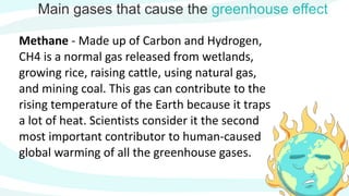 Main gases that cause the greenhouse effect
Methane - Made up of Carbon and Hydrogen,
CH4 is a normal gas released from wetlands,
growing rice, raising cattle, using natural gas,
and mining coal. This gas can contribute to the
rising temperature of the Earth because it traps
a lot of heat. Scientists consider it the second
most important contributor to human-caused
global warming of all the greenhouse gases.
 