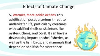 Effects of Climate Change
5. Warmer, more acidic oceans This
acidification poses a serious threat to
underwater life, particularly creatures
with calcified shells or skeletons like
oysters, clams, and coral. It can have a
devastating impact on shellfisheries, as
well as the fish, birds, and mammals that
depend on shellfish for sustenance
 