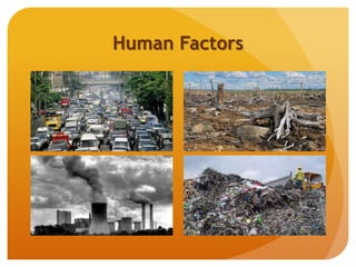 Human Factors
 