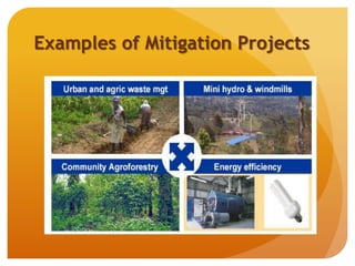 Examples of Mitigation Projects
 