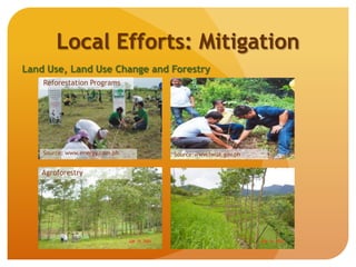 Local Efforts: Mitigation
Land Use, Land Use Change and Forestry
Source: www.energy.com.ph - Source:www.lwua.gov.ph
Reforestation Programs
Agroforestry
 