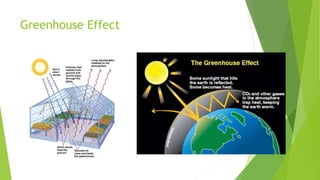 Greenhouse Effect
 