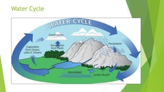 Water Cycle
 