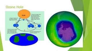 Ozone Hole
 